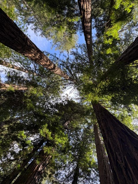 undefined Gallery Image 2