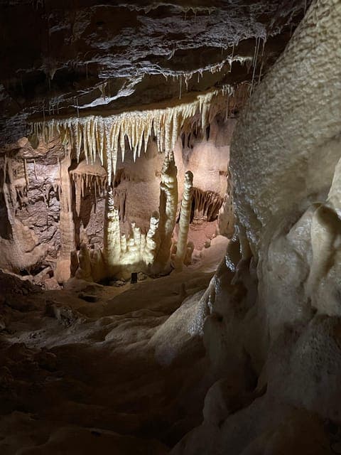 undefined Gallery Image 4