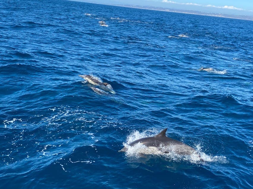 undefined Gallery Image 1