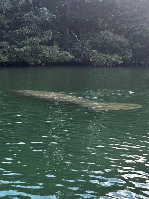 undefined Gallery Image 2