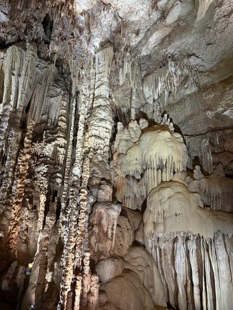 undefined Gallery Image 1