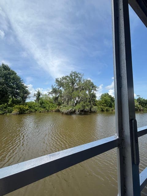 undefined Gallery Image 1