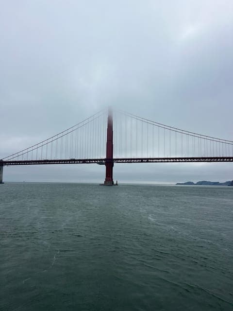 undefined Gallery Image 3