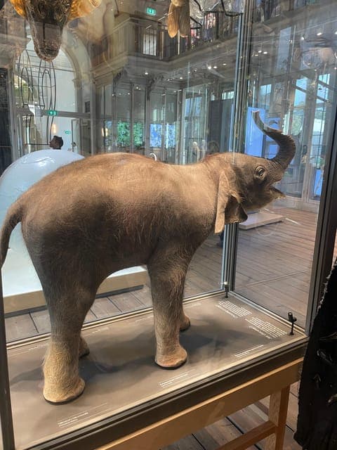 undefined Gallery Image 2