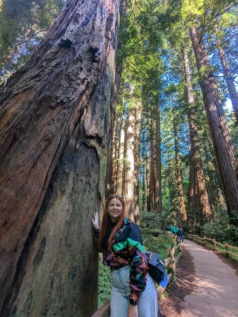 undefined Gallery Image 1