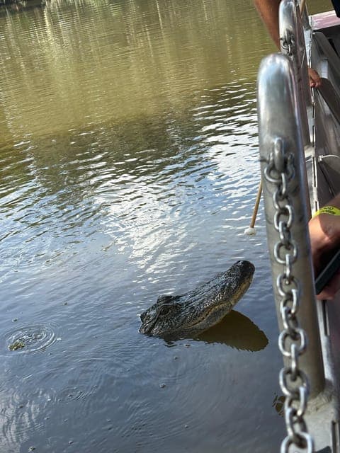 undefined Gallery Image 4