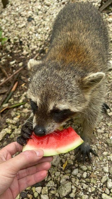 undefined Gallery Image 2