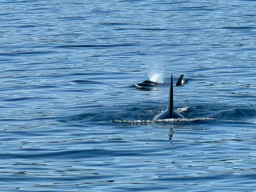 undefined Gallery Image 4