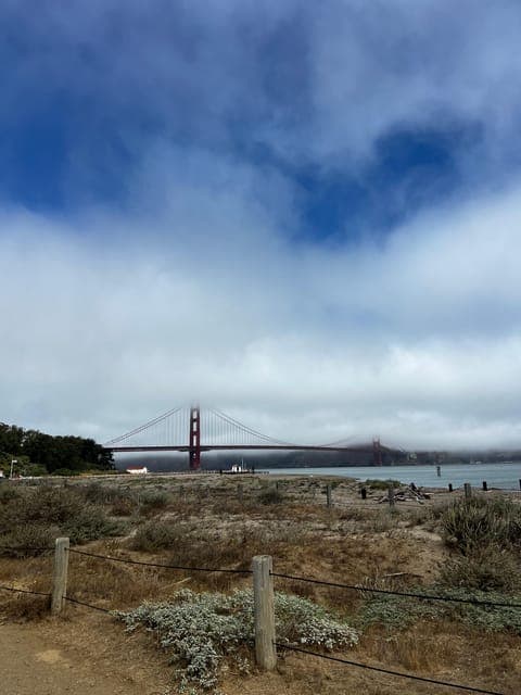 undefined Gallery Image 3