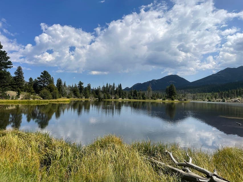 undefined Gallery Image 2