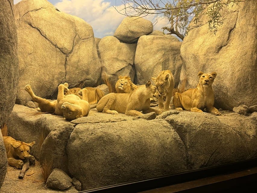 undefined Gallery Image 1