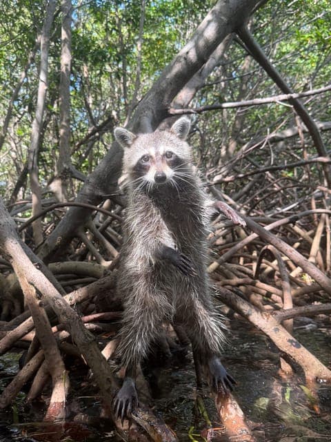 undefined Gallery Image 2