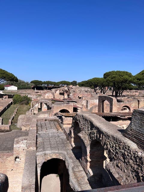 undefined Gallery Image 4