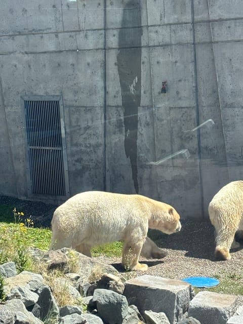 undefined Gallery Image 4