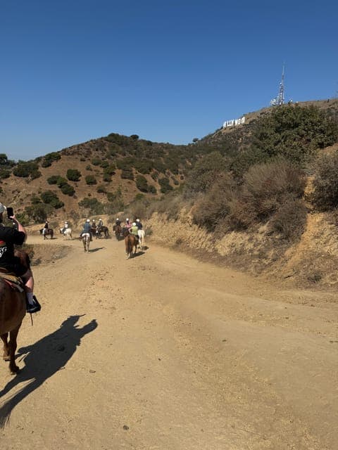 undefined Gallery Image 4