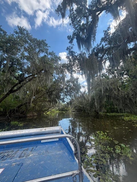 undefined Gallery Image 4