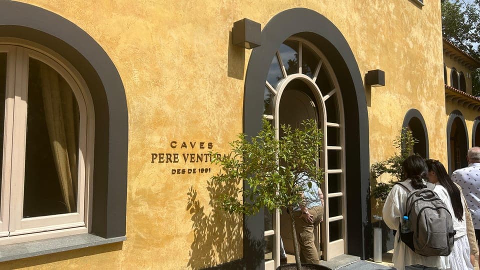 undefined Gallery Image 1