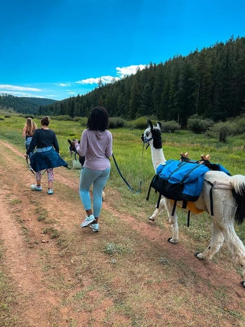 undefined Gallery Image 4