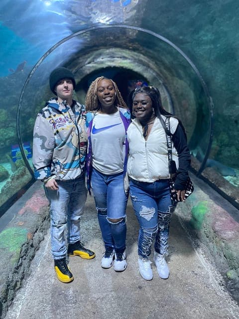 undefined Gallery Image 4