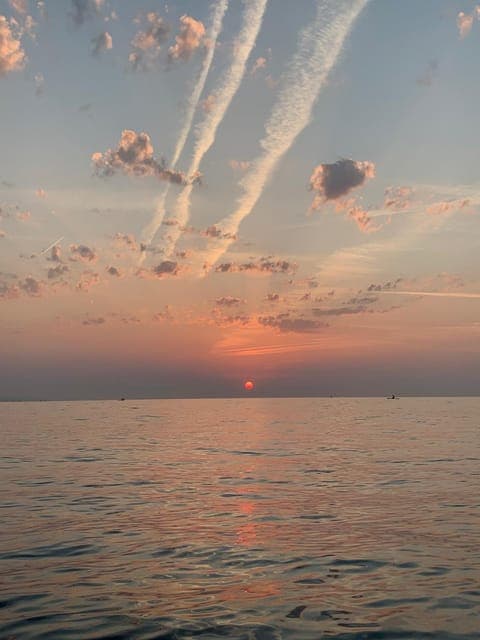 undefined Gallery Image 3