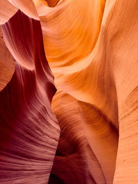 undefined Gallery Image 3