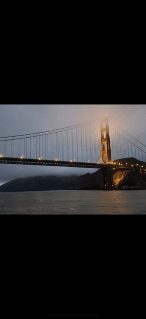 undefined Gallery Image 1