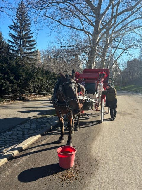 undefined Gallery Image 1