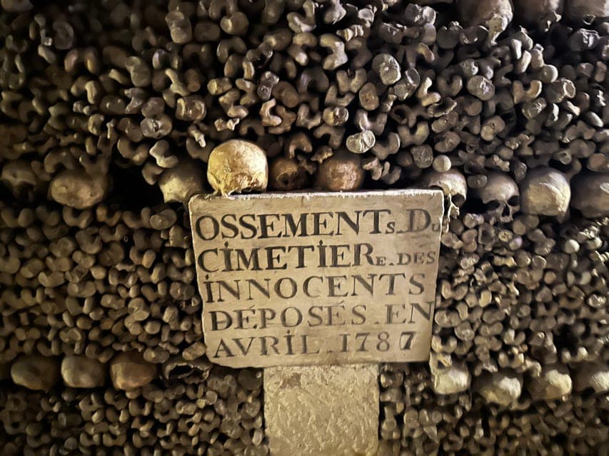 undefined Gallery Image 3