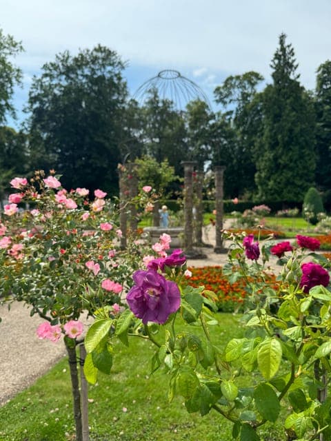 undefined Gallery Image 2