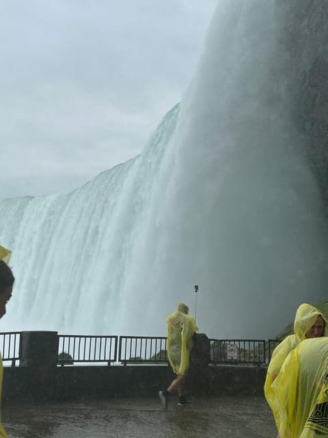 undefined Gallery Image 3