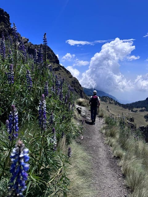 undefined Gallery Image 3