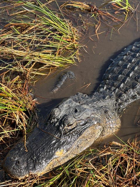 undefined Gallery Image 1