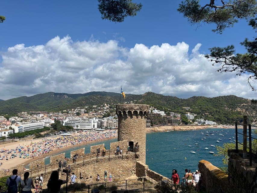 undefined Gallery Image 2