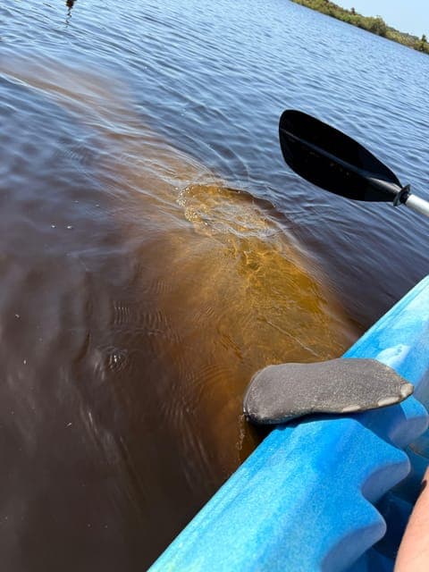 undefined Gallery Image 2