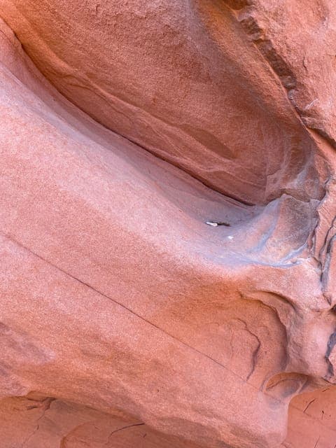 undefined Gallery Image 4