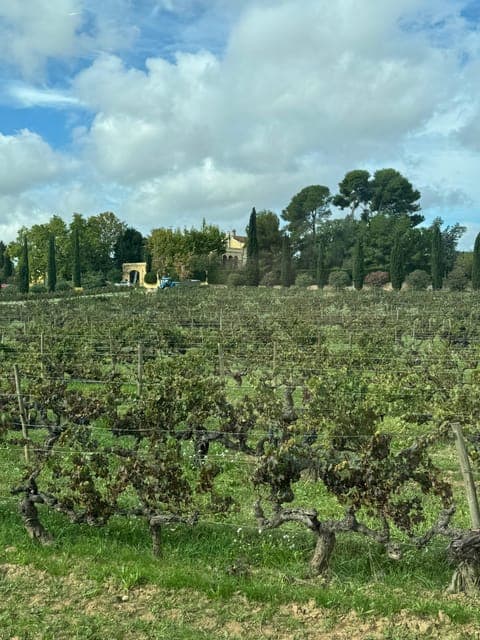 undefined Gallery Image 4