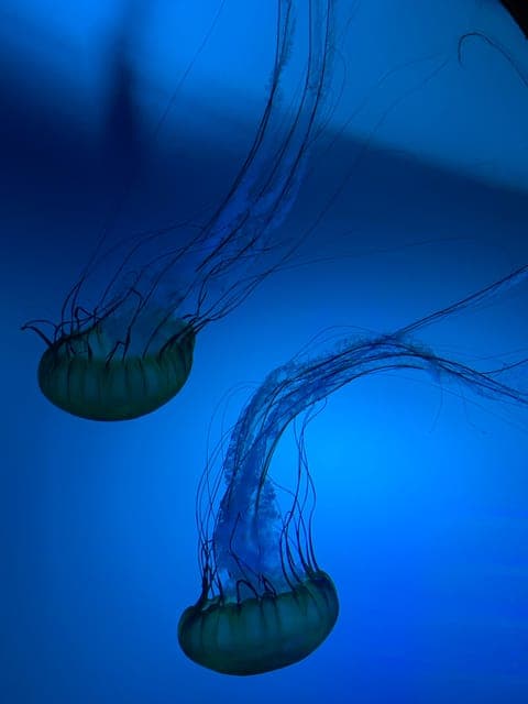 undefined Gallery Image 1