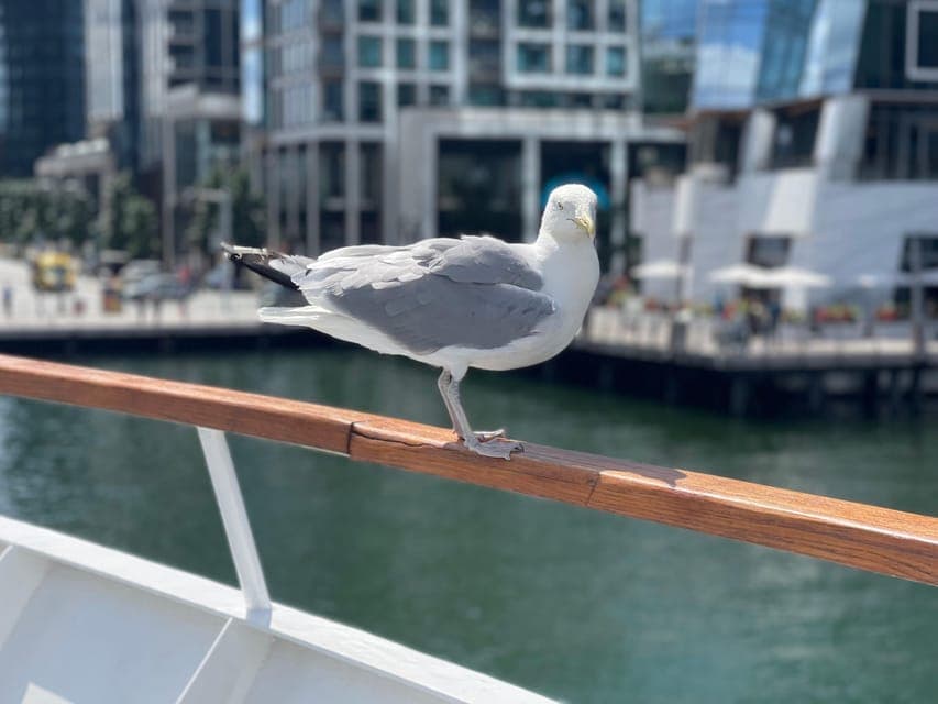 undefined Gallery Image 3