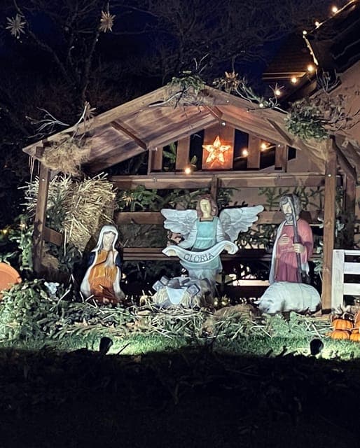 undefined Gallery Image 3