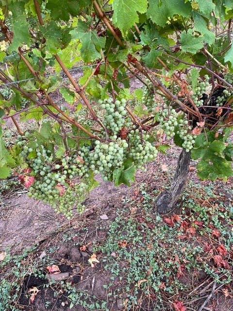 undefined Gallery Image 1