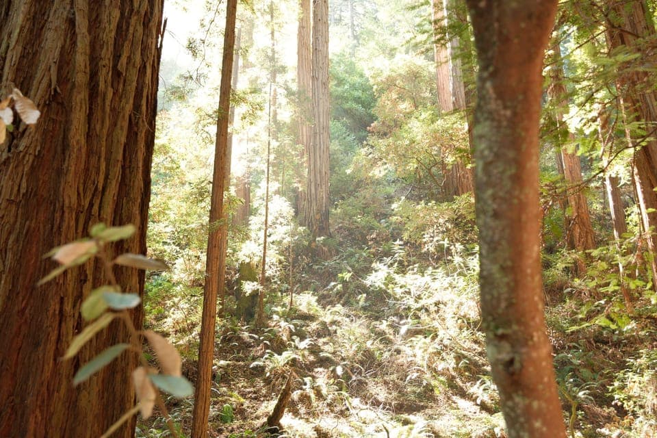 undefined Gallery Image 1