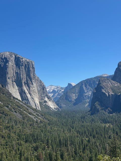 undefined Gallery Image 1