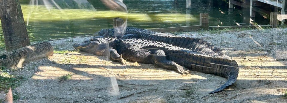 undefined Gallery Image 2