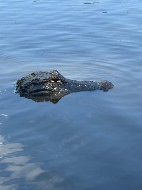 undefined Gallery Image 2