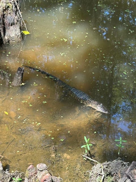 undefined Gallery Image 2