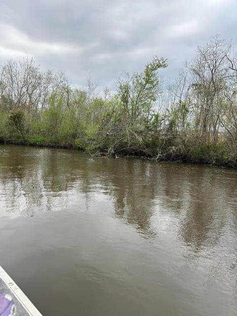 undefined Gallery Image 1