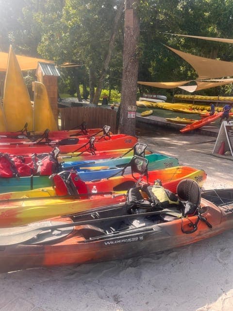 undefined Gallery Image 1