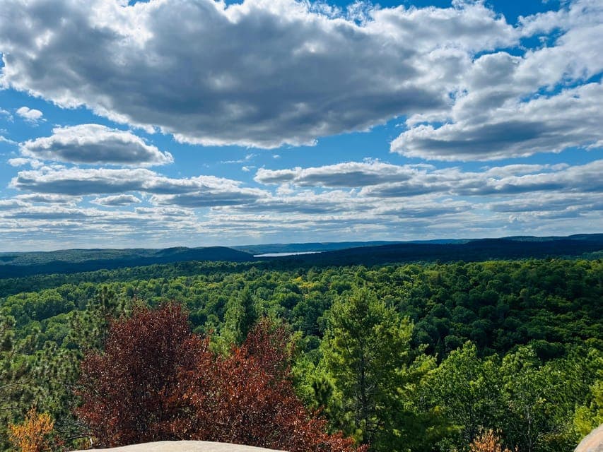 undefined Gallery Image 3