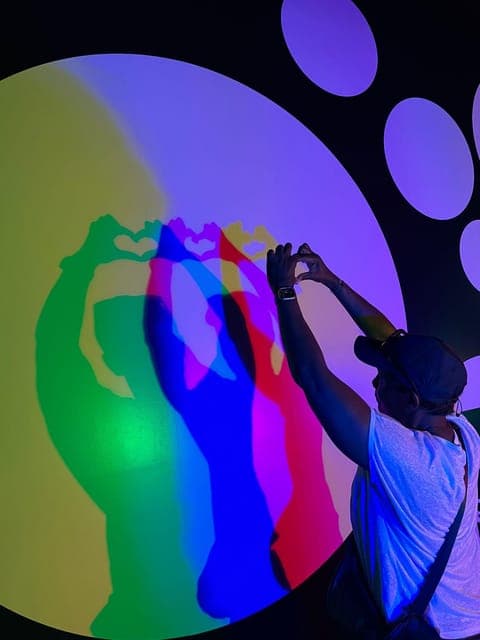 undefined Gallery Image 1