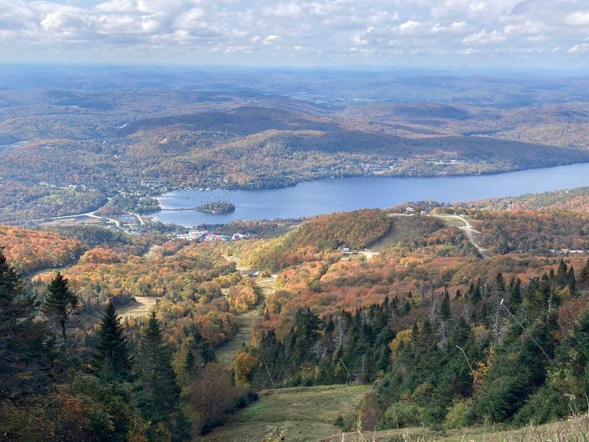 undefined Gallery Image 2